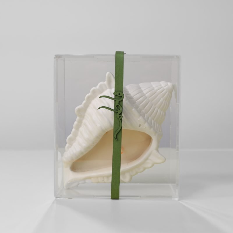 Conch candle in acrylic box
